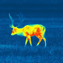 Load image into Gallery viewer, Pulsar Helion 2 XP50 Thermal monocular wildlife viewer ultramarine
